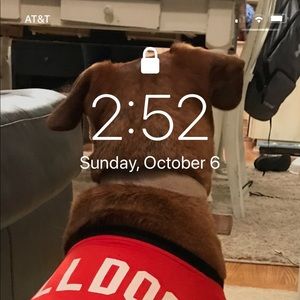 Meet your Posher, Conner